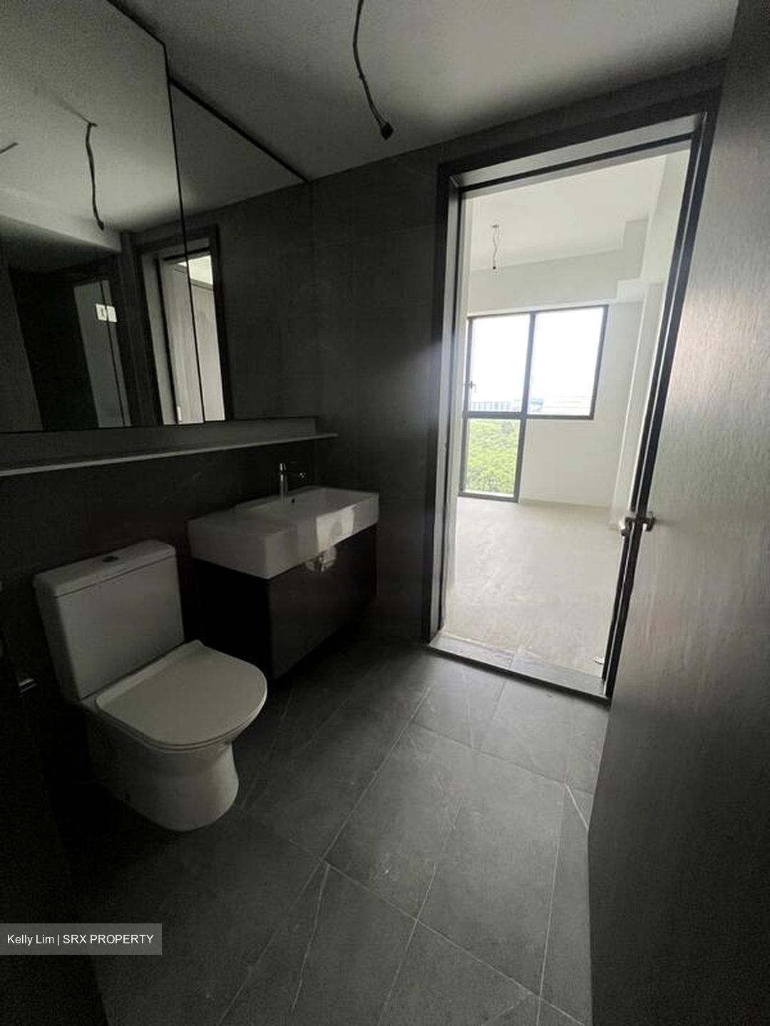 Riverfront Residences (D19), Apartment #460570231